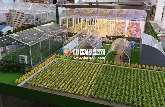  農(nóng)業(yè)大棚模型，畜牧養(yǎng)殖沙盤模型