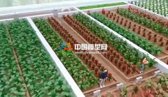 農(nóng)業(yè)灌溉施肥模擬系統(tǒng)沙盤模型