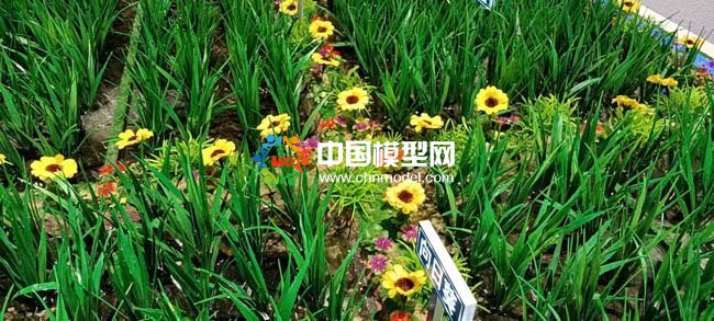 茭白產業種植基地沙盤模型